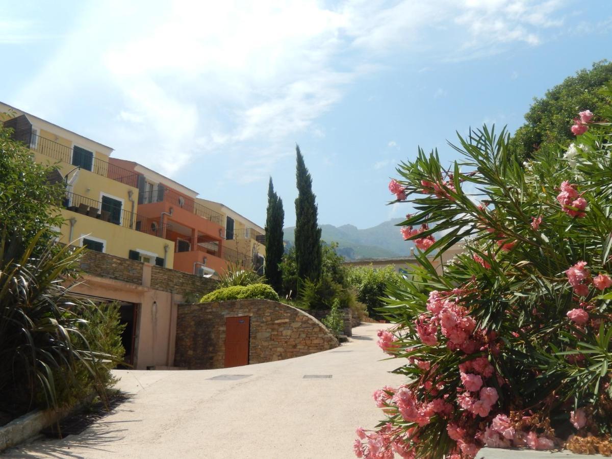Erbalunga - Residence Les Bosquets - Cap Corse Location Brando Ngoại thất bức ảnh